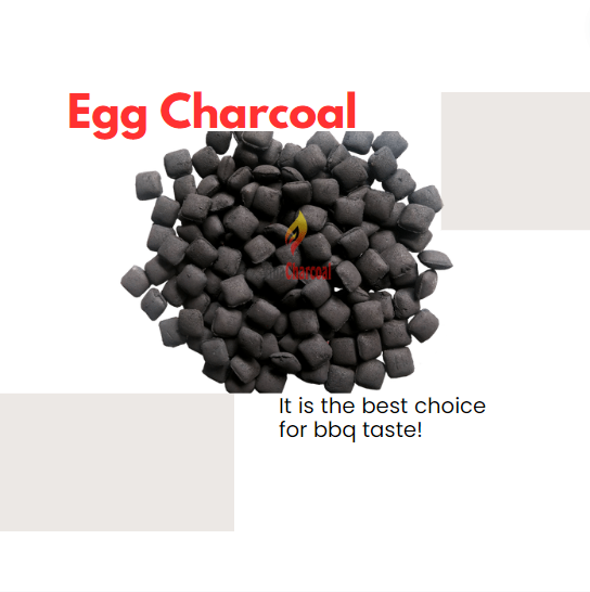 Coconut Shell Briquette The Egg Coconut Charcoal.